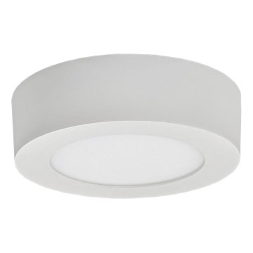 LED lubinis šviestuvas FENIX LED/6W/230V 2800K diametras 12 cm