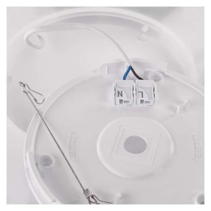 LED lubinis šviestuvas FLORI LED/18W/230V 4000K juoda 29x29 cm