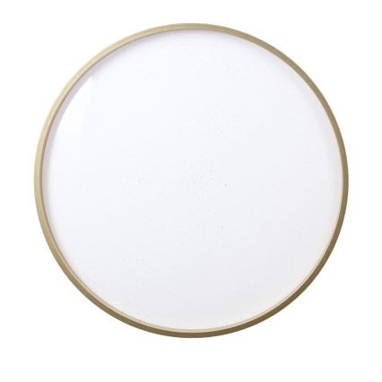 LED lubinis šviestuvas FLORIDA LED/18W/230V juoda