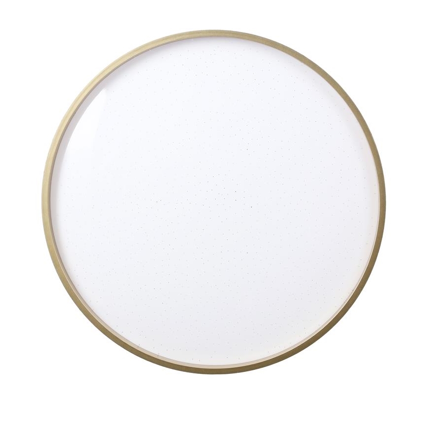 LED lubinis šviestuvas FLORIDA LED/18W/230V juoda