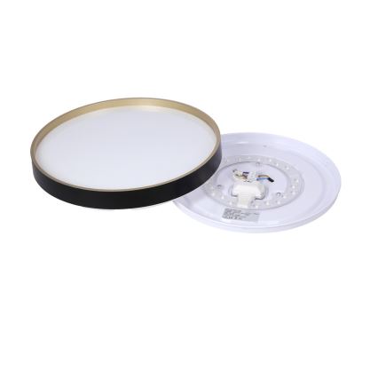 LED lubinis šviestuvas FLORIDA LED/18W/230V juoda