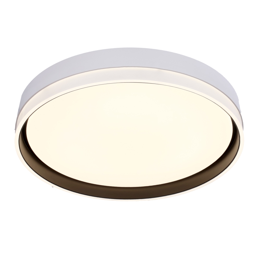 LED lubinis šviestuvas FLORIDA LED/24W/230V balta
