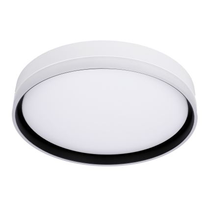 LED lubinis šviestuvas FLORIDA LED/24W/230V balta