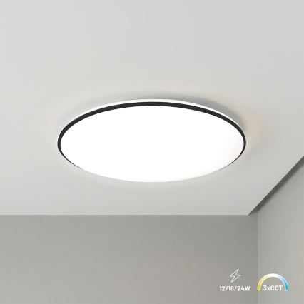 Lubinis LED šviestuvas HUGO, 12/18/24 W, 230 V, 3000/4000/6500 K, skersmuo 30 cm, IP54, juodas