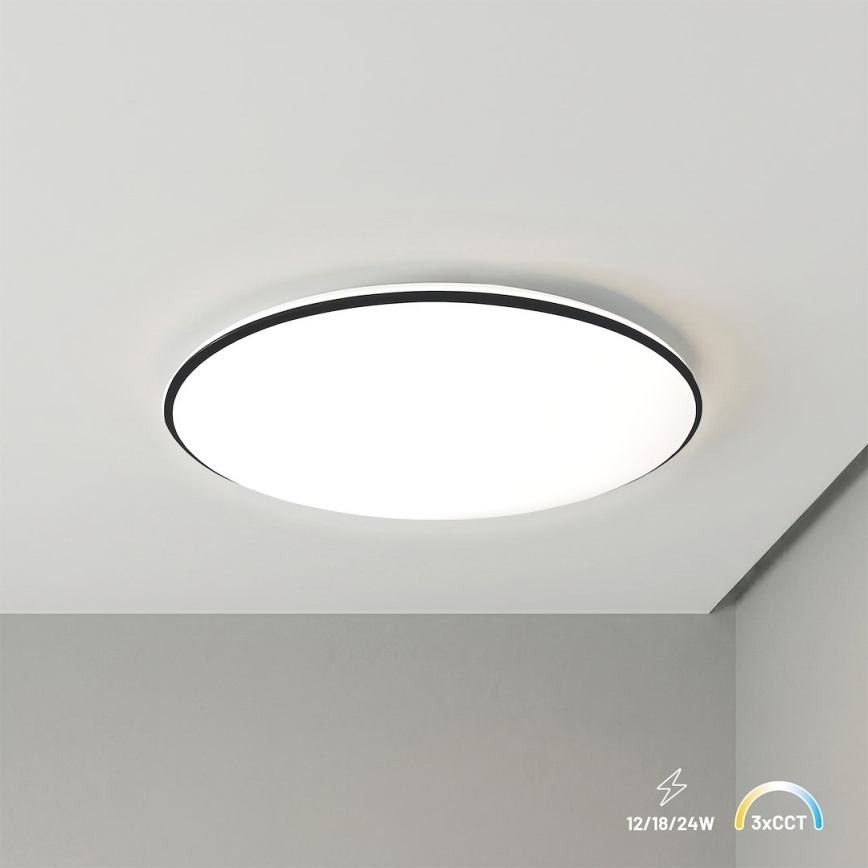 Lubinis LED šviestuvas HUGO, 12/18/24 W, 230 V, 3000/4000/6500 K, skersmuo 30 cm, IP54, juodas