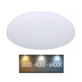 LED Lubinis šviestuvas LED/12W/230V 26cm 3000K/4000K/6400K