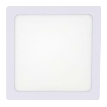 LED lubinis šviestuvas LED/12W/230V 2700K 16,3x16,3 cm balta