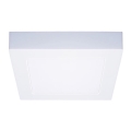 LED lubinis šviestuvas LED/12W/230V 3000/4000/6000K 17x17 cm baltas