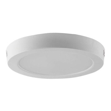 LED lubinis šviestuvas LED/12W/230V 3000K balta