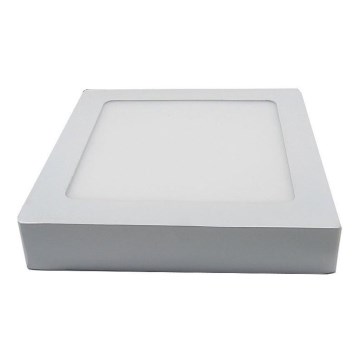 LED lubinis šviestuvas LED/12W/230V 3000K