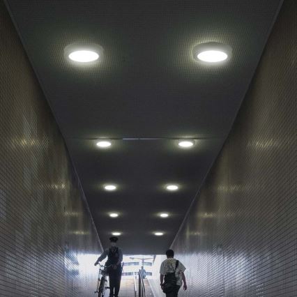 LED lubinis šviestuvas LED/12W/230V 6500K diametras 16,7 cm balta