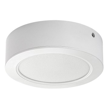 LED Lubinis šviestuvas LED/12W/230V d. 14,5 cm