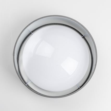 LED lubinis šviestuvas LED/12W/230V skersmuo 32 cm pilkas/sidabrinis