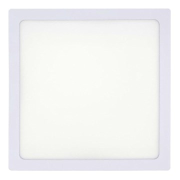 LED lubinis šviestuvas LED/18W/230V 2700K 21x21 cm balta
