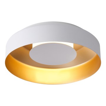 LED lubinis šviestuvas LED/20W/230V 3000K balta