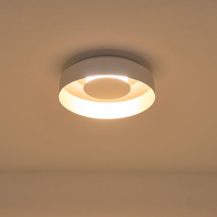 LED lubinis šviestuvas LED/20W/230V 3000K balta
