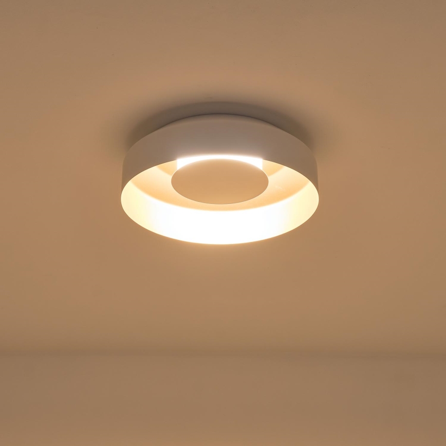 LED lubinis šviestuvas LED/20W/230V 3000K balta