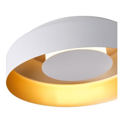 LED lubinis šviestuvas LED/20W/230V 3000K balta