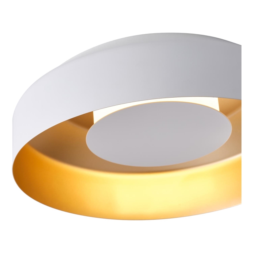LED lubinis šviestuvas LED/20W/230V 3000K balta