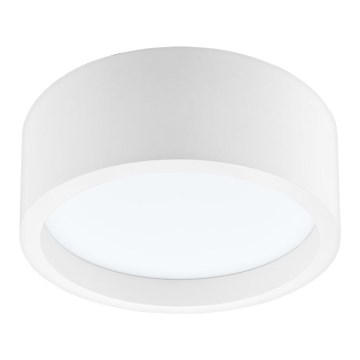 LED lubinis šviestuvas LED/21W/230V pušis