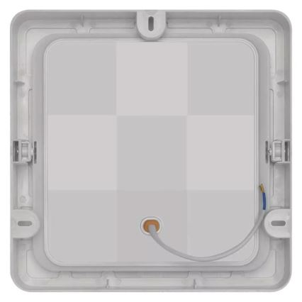 LED Lubinis šviestuvas LED/24W/230V 22x22 cm baltas