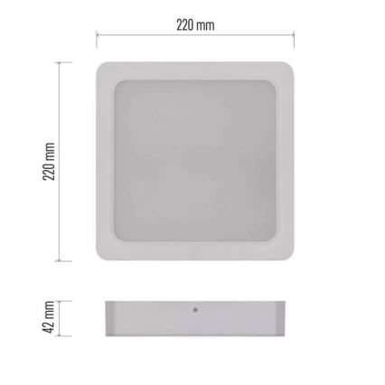 LED Lubinis šviestuvas LED/24W/230V 22x22 cm baltas