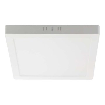 LED lubinis šviestuvas LED/24W/230V 3000K 28,7x28,7 cm balta