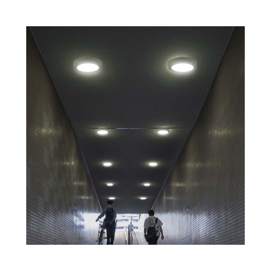 LED lubinis šviestuvas LED/24W/230V 3000K