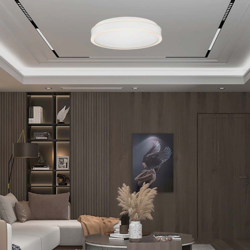 LED lubinis šviestuvas LED/24W/230V 4000K balta