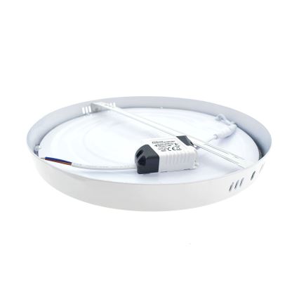 LED lubinis šviestuvas LED/24W/230V 4200K diametras 28,5 cm balta