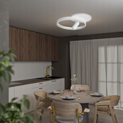 LED lubinis šviestuvas LED/38W/230V + 1xGU10/30W baltas