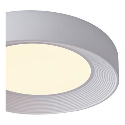 LED lubinis šviestuvas LED/40W/230V 3000K balta diametras 50 cm
