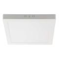 LED lubinis šviestuvas LED/6W/230V 4000K 12x12 cm balta