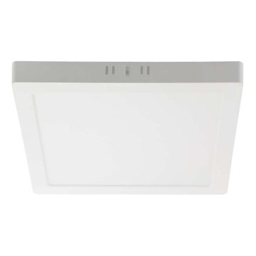 LED lubinis šviestuvas LED/6W/230V 6500K 12x12 cm balta