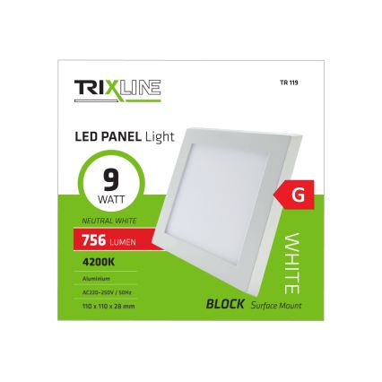 LED lubinis šviestuvas LED/9W/230V 4200K