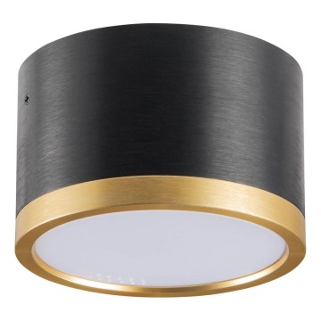 LED lubinis šviestuvas MIRELLA 1xGX53/6W/230V juoda/auksas