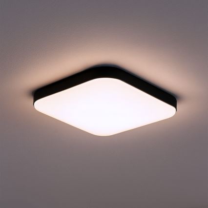 LED lubinis šviestuvas NEMO LED/11W/230V 26x26 cm juodas