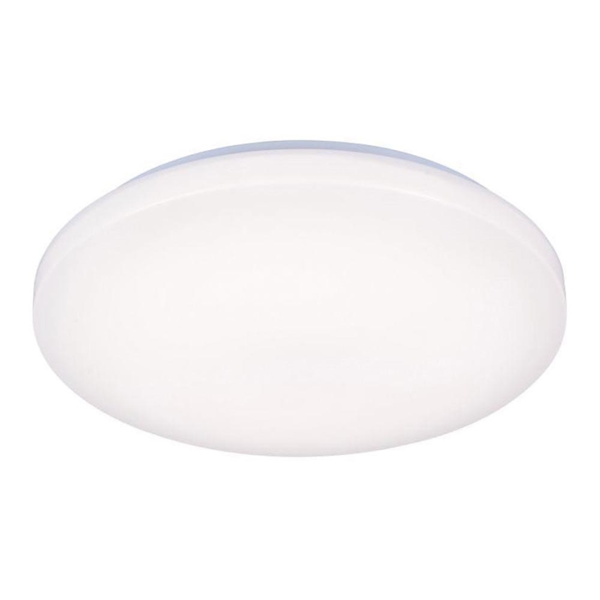 LED lubinis šviestuvas OPAL LED/50W/176-264V