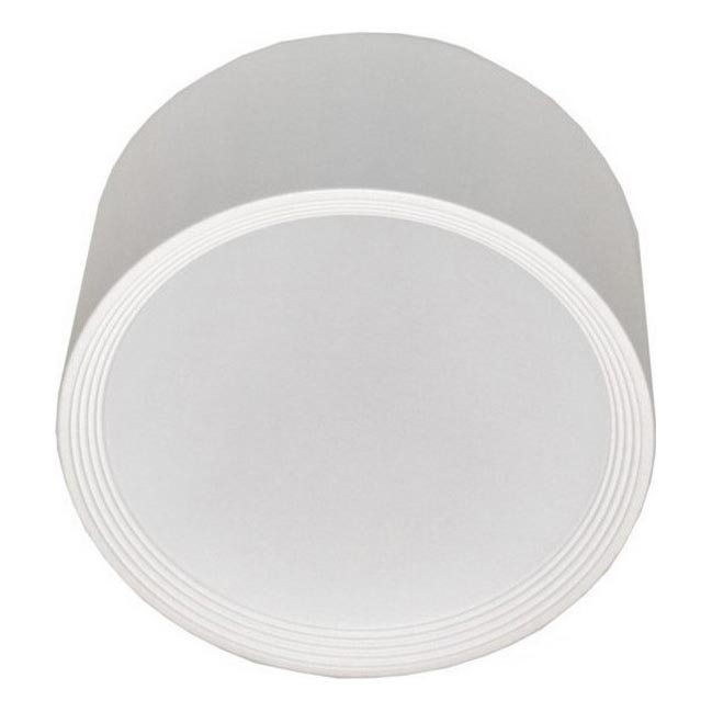 LED lubinis šviestuvas PERCI LED/20W/230V IP40 4000K balta