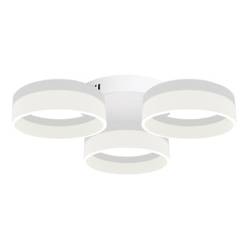 LED lubinis šviestuvas RING 3xLED/12W/230V balta