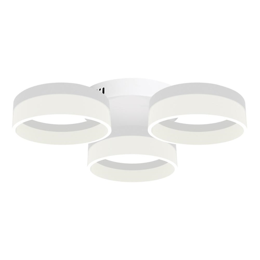 LED lubinis šviestuvas RING 3xLED/12W/230V balta