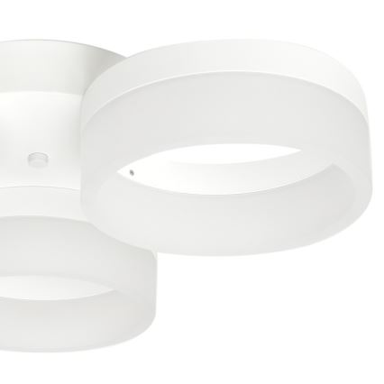LED lubinis šviestuvas RING 3xLED/12W/230V balta