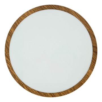 LED lubinis šviestuvas RING LED/24W/230V 4200K diametras 28,5 cm ruda