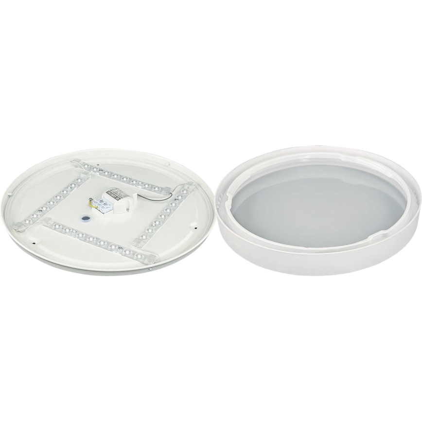 LED lubinis šviestuvas SAMER LED/24W/230V 4000K