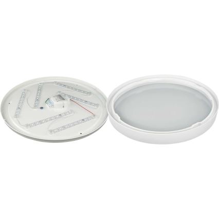 LED lubinis šviestuvas SAMER LED/32W/230V 4000K