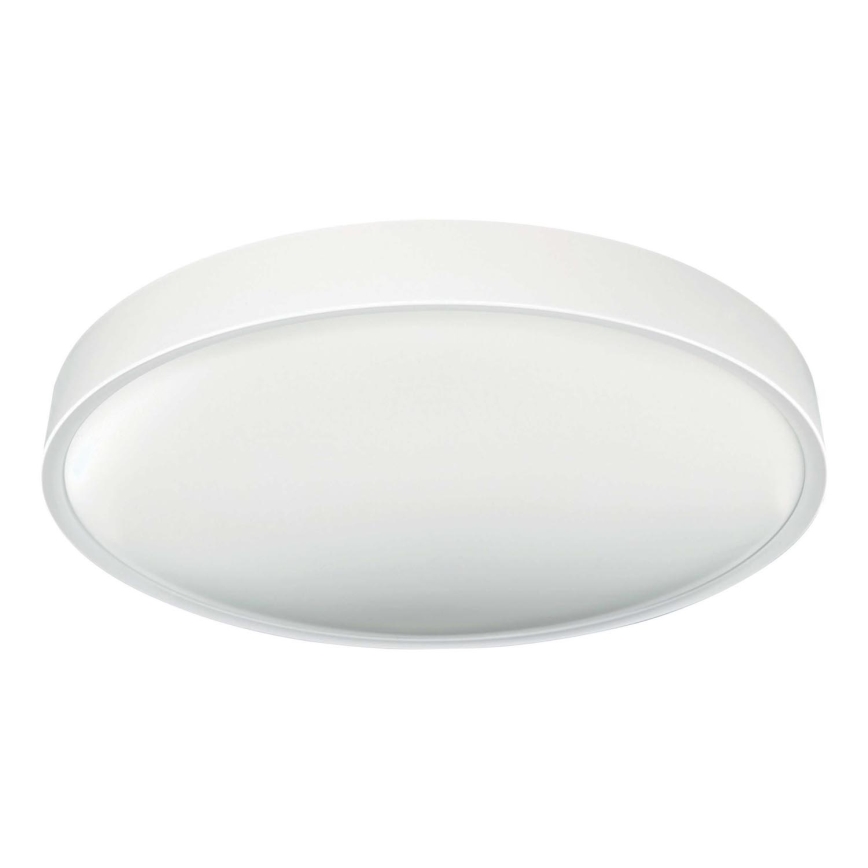 LED lubinis šviestuvas SAMER LED/40W/230V 4000K