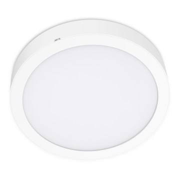 LED Lubinis šviestuvas SIGARO CIRCLE LED/24W/230V 4000K IP40