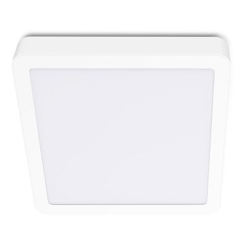 LED Lubinis šviestuvas SIGARO SQUARE LED/18W/230V 4000K IP40