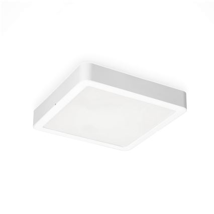 LED Lubinis šviestuvas SIGARO SQUARE LED/18W/230V 4000K IP40