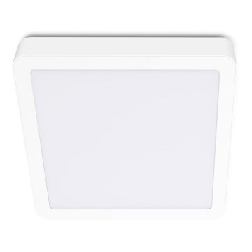 LED Lubinis šviestuvas SIGARO SQUARE LED/24W/230V 4000K IP40